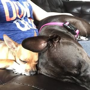 Meet your Posher, Brenda